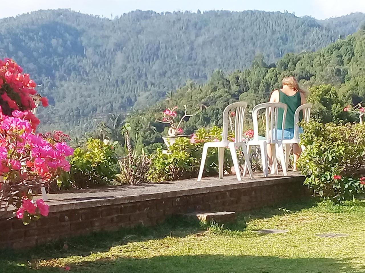 Bendesa Mas Homestay Munduk Exterior foto